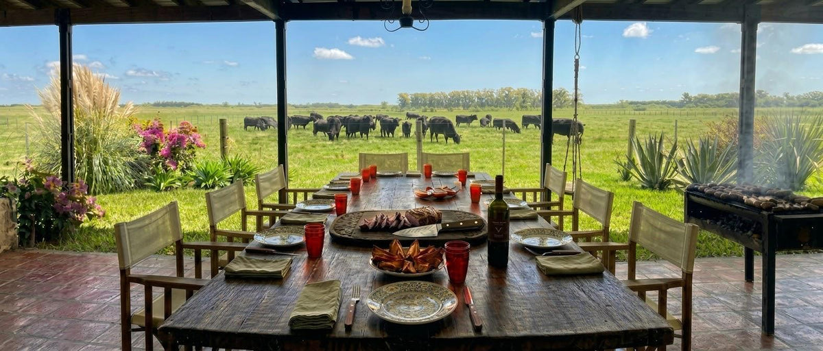 Black Angus Rinder auf der Weide in der Pampa, gedeckter Asado-Tisch auf der Estancia